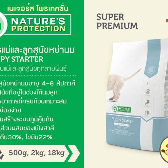 Nature’s Protection Puppy Starter – 2 kg