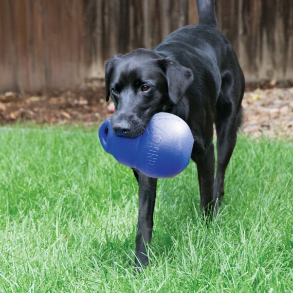 KONG Bounzer™ Ultra (M / XL)