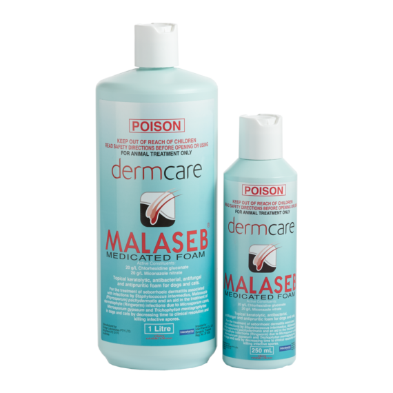 MALASEB SHAMPOO 250 ml/ แชมพูมาลาเซป